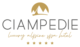 Hotel Ciampedie logo